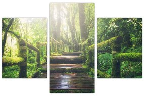 Tablou - trepte din lemn în pădure (90x60 cm)
