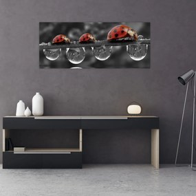 Tablou - Floarea-soarelui, alb și negru (120x50 cm)