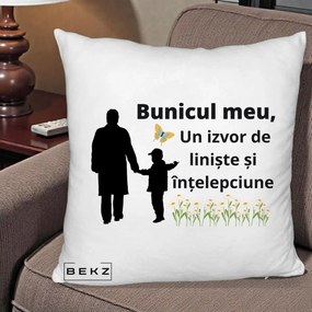 Cadou pentru Bunic - Perna Personalizata Bunicul Meu Izvor de Liniste cu Fluture si Baietel, 40x40 cm, Alb Pufos, Husa Detasabila, Perna Inclusa, BEKZ®