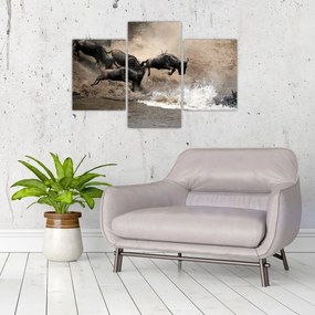 Tablou - Turmă de gnu (90x60 cm)