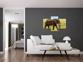 Tablou - Elefantul (90x60 cm)