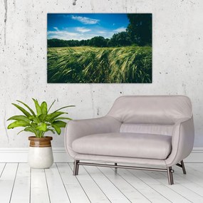 Tablou cu linca și pădure (90x60 cm)