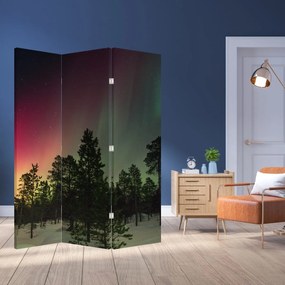 Paravan - Northern Lights (126x170 cm)