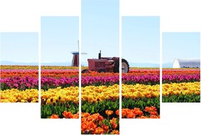 Tablou cu farma de lalele (150x105 cm)