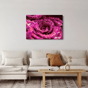 Tabloul cu floarea trandafirului roz (90x60 cm)