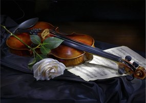 Tablou pe sticlă - Trandafiri și vioară (70x50 cm)