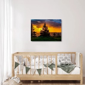 Tablou pe sticlă - coniferi (70x50 cm)