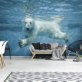 Fototapet - Ursul polar (254x184 cm)