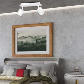 Spot DEMIA 2xGU10/8W/230V alb