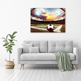 Pictură pe pânză Stadion de fotbal