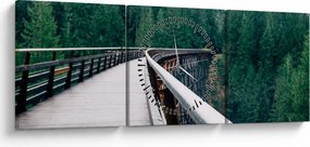 Tablou - Pod spre vârfurile copacilor (cu ceas) (90x30 cm)