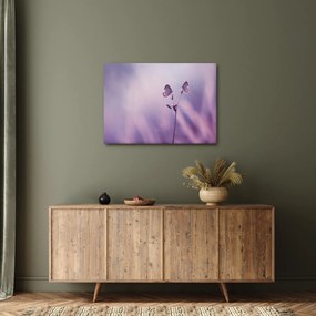 Tablou - Fluturi mov (70x50 cm)