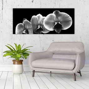 Tablou floare de orhidee (120x50 cm)