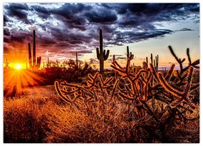 Tablou - Ora aurie a deșertului (70x50 cm)