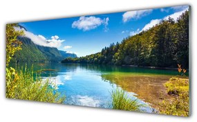 Tablouri acrilice Mountain Lake Forest Natura Verde Albastru
