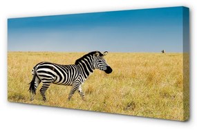 Tablouri canvas caseta Zebra