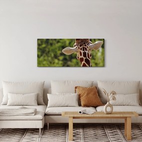 Tablou cu girafă din spate (120x50 cm)