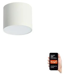 Plafonieră LED dimabilă Immax NEO 07241L RONDATE 18W/230V 11,5cm Wi-Fi Tuya