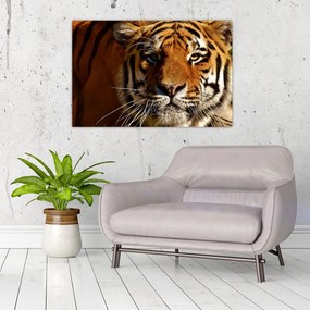 Tablou cu tigrul (90x60 cm)