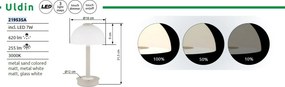 Veioza/Lampa de masa LED moderna ULDIN