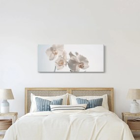 Tablou cu orhidee albă (120x50 cm)