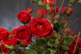 Aranjament floral mare decor festiv design LUX RED ROSES BUSH H-135cm