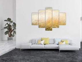 Tablou - Câmp toamna (150x105 cm)