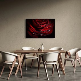 Tablou - Trandafir (90x60 cm)