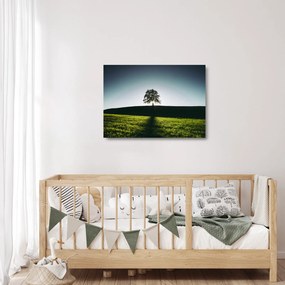 Tablou pe sticlă cu natura - copac (70x50 cm)