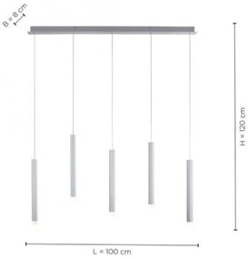 Lustră LED pe cablu BRUNO 5xLED/4,8W/230V Leuchten Direkt 15205-95
