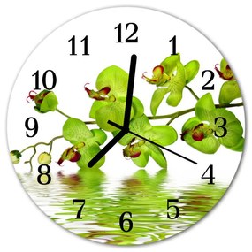 Ceas de perete din sticla rotund Orchid Flori și plante verzi