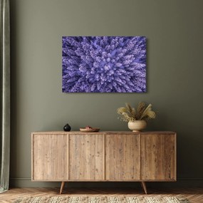 Tablou cu copacii înzăpeziți (90x60 cm)