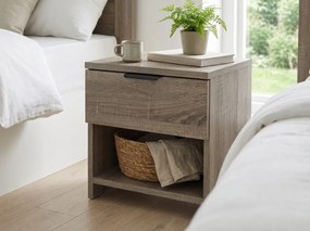 Noptiera stejar trufa, HAVANA