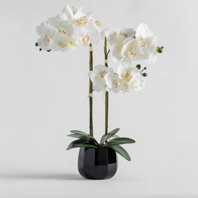 Floare decorativa orhidee Orchitico