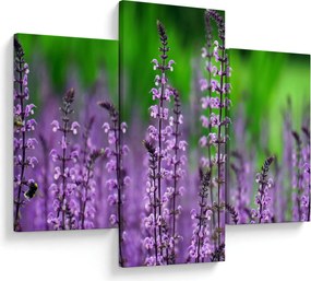 Tablou cu flori de luncă violete (90x60 cm)