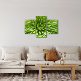 Tablou - Imagine macro a unei plante (90x60 cm)