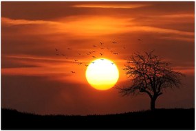 Tablou - Apus de soare (90x60 cm)