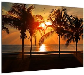 Tablou cu palmier în apus de soare (70x50 cm), în 40 de alte dimensiuni noi