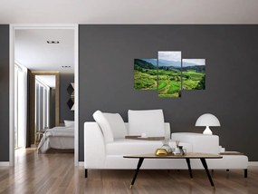 Tablou cu câmp de orez (90x60 cm)