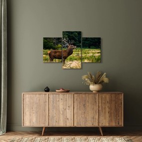 Tablou cu cerb (90x60 cm)