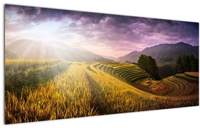 Tablou peisajului (120x50 cm)