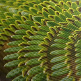 Tablou - Fern (cu ceas) (90x30 cm)