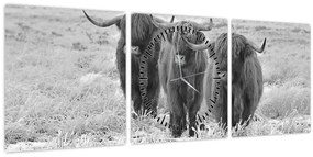 Tablou - Vaci scoțiene,alb-negru (cu ceas) (90x30 cm)