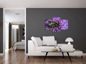 Tablou cu albina pe floare (90x60 cm)