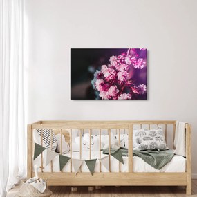 Tablou cu florile copacilor (90x60 cm)