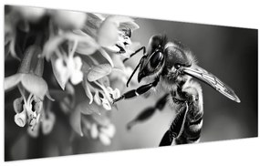 Tablou - Detaliu de albină (120x50 cm)