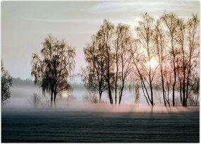 Tablou - Dimineața mohorâtă (70x50 cm)