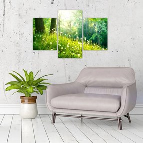 Tablou - Pajiște magică plină de păpădii (90x60 cm)