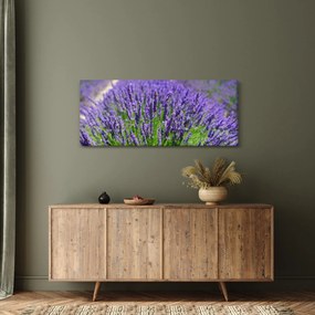 Tablou - lavanda (120x50 cm)