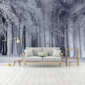 Fototapet - Iarna (152,5x104 cm)